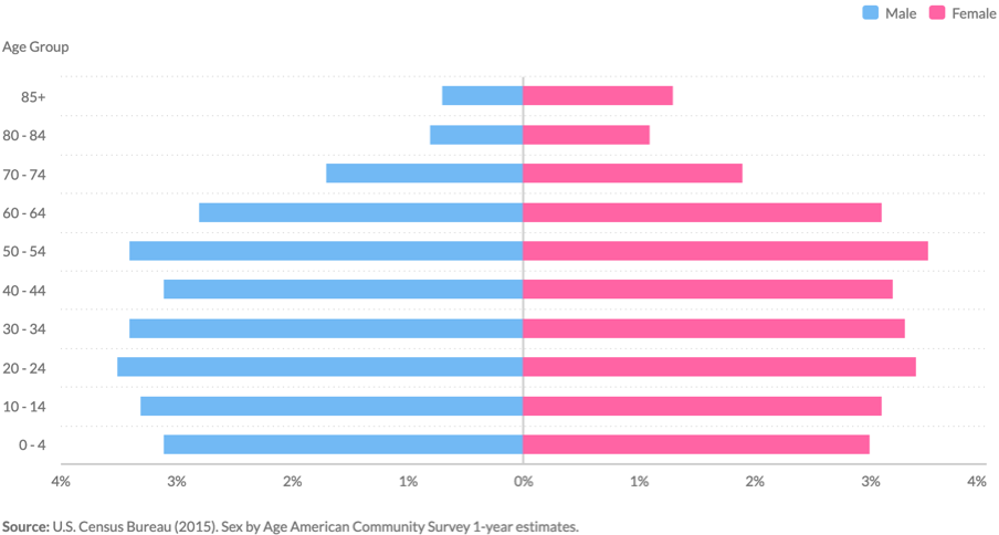 United States population by age and sex in 2015