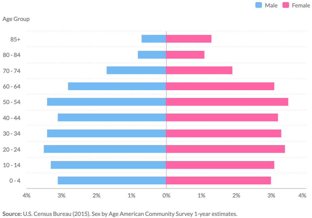 United States population by age and sex in 2015